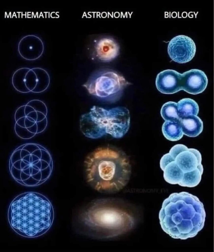 Three columns compare overlapping geometric circles, astronomical forms and apparent stages of embryonic cell division.